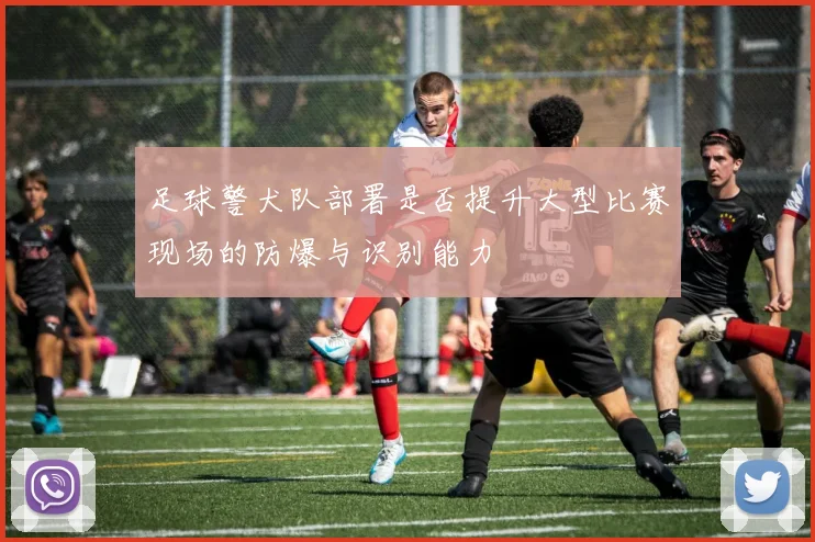 足球警犬队部署是否提升大型比赛现场的防爆与识别能力