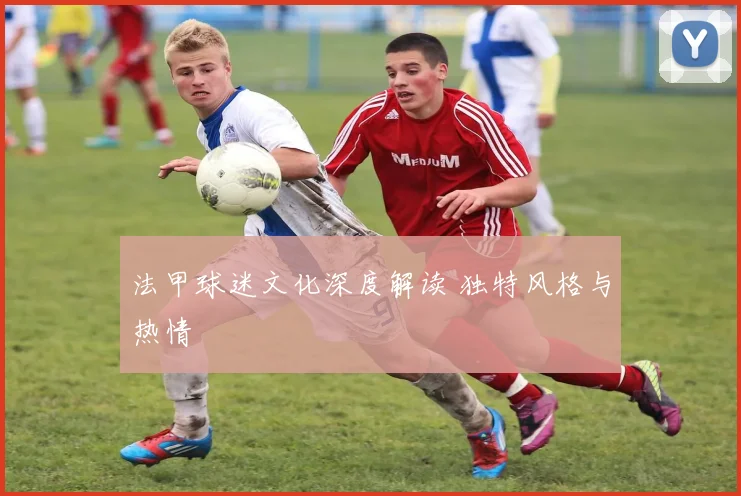 法甲球迷文化深度解读 独特风格与热情