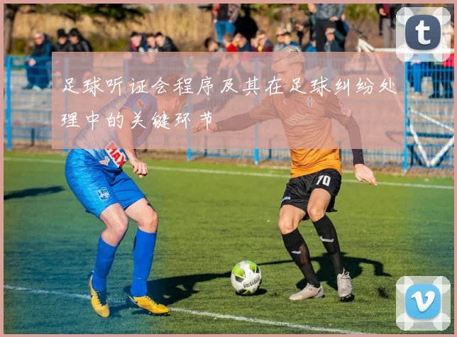 足球听证会程序及其在足球纠纷处理中的关键环节