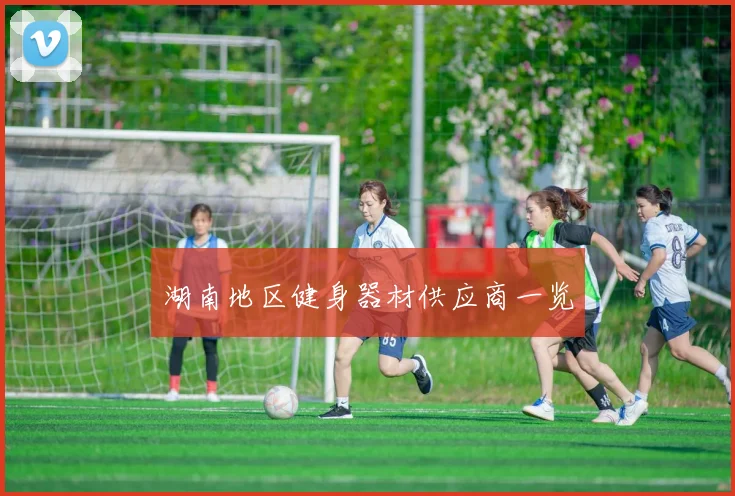 湖南地区健身器材供应商一览