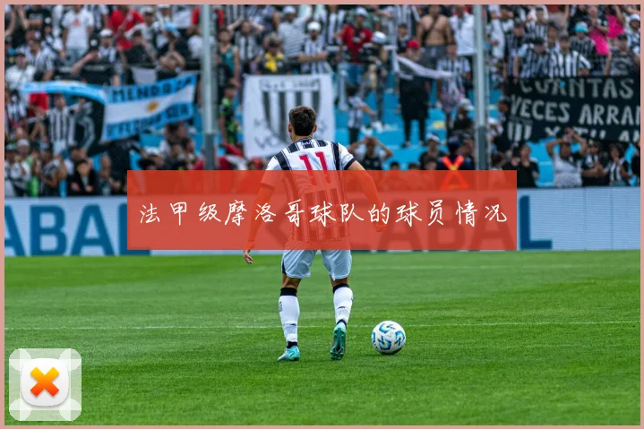 法甲级摩洛哥球队的球员情况