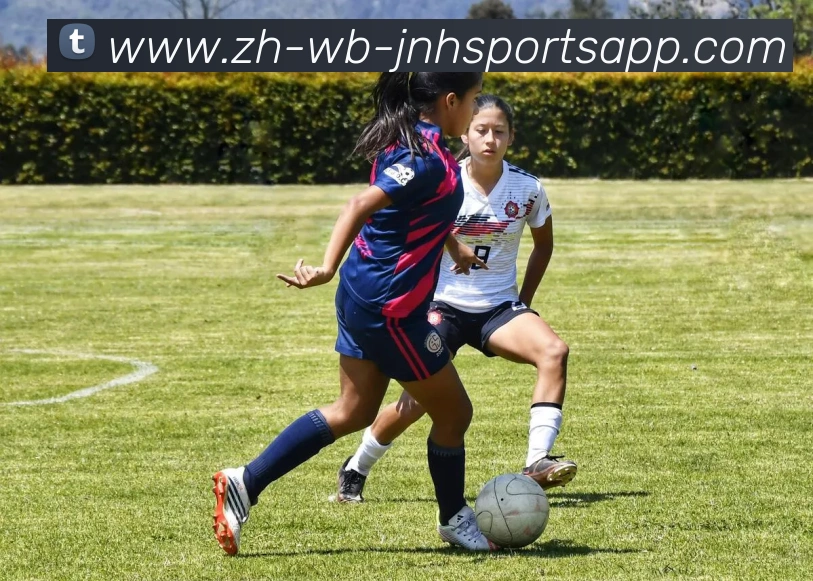 金年会体育APP 封面图